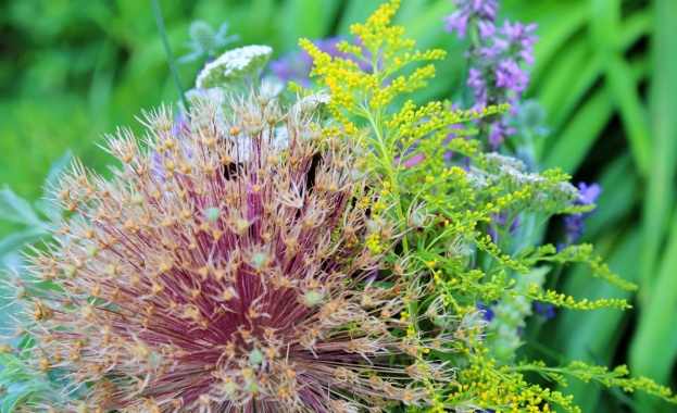 По повод празника на Българската академия на науките БАН музеите