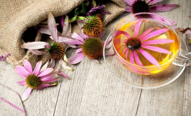 Студено ли ви е с олекотеното юрганче сутрин Извадихте ли