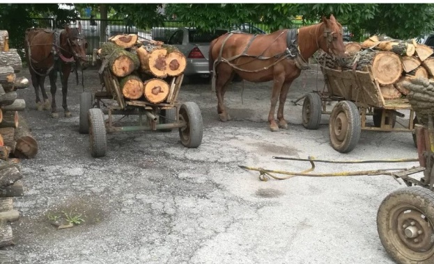 Днес е крайният срок в който нуждаещите се от целева
