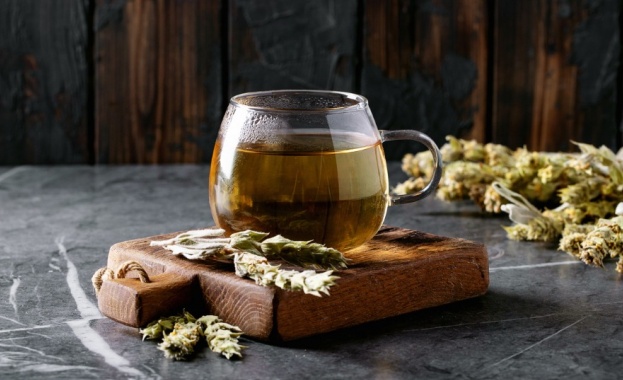 Мурсалският чай е многогодишно растение Смята се за билка с