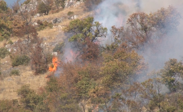 През цялата нощ пожарникари военни горски служители и доброволци са