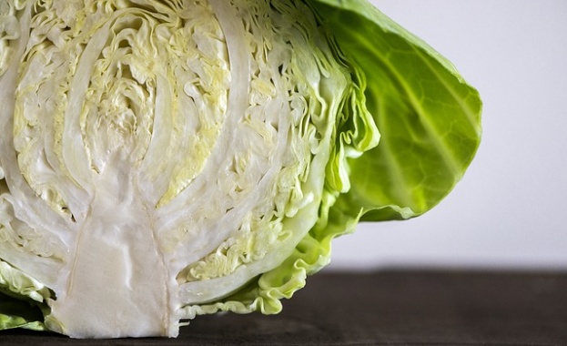 Легенди се носят за полезните свойства на бялото зеле Само