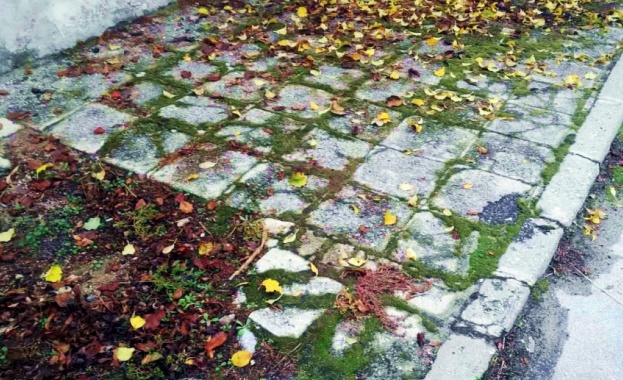 С груби нарушения на закона започна изборния ден в Община