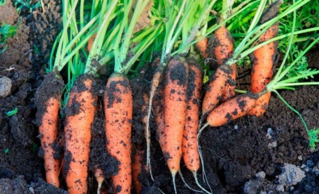 Екоповедението се превърна в печеливша маркетингова стратегия но продуктите продавани