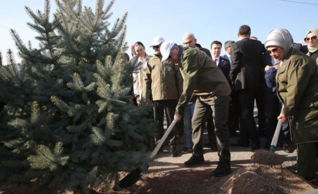 11 милиона млади дръвчета бяха засадени днес в цяла Турция.