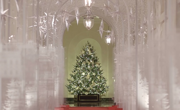 Да се създават плантации за отглеждане на дървесни видове за