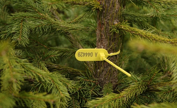 Между 50 и 3000 лв е глобата за търговец който