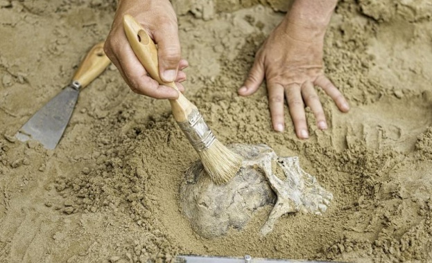 Анализът на дъвка на над 5700 години разкри не само