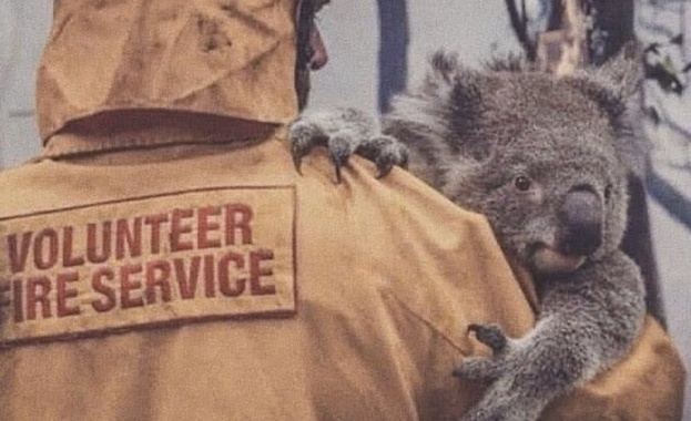 2019 беше година в която Земята претърпя няколко огромни по