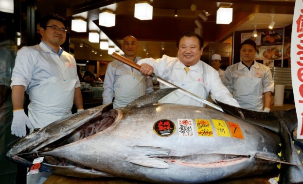 Червен тон с тегло 276 кг беше продаден за 193