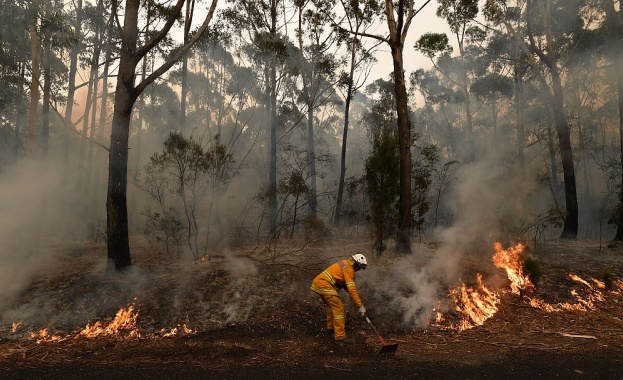 Територията която е изгоряла досега е 50 хиляди квадратни километра