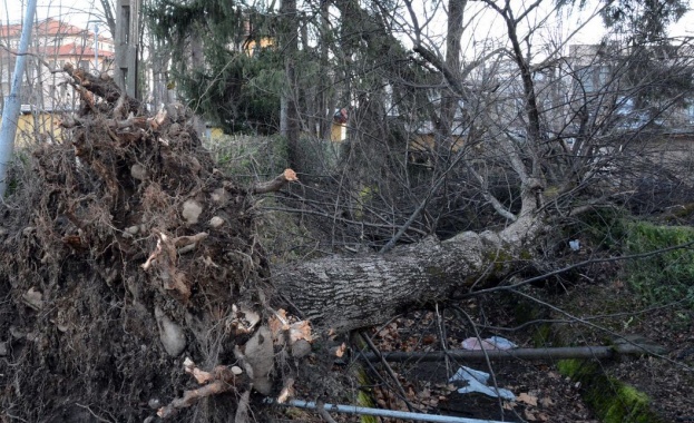 Скоростта на вятъра в Сливен достига над 122 км ч съобщи