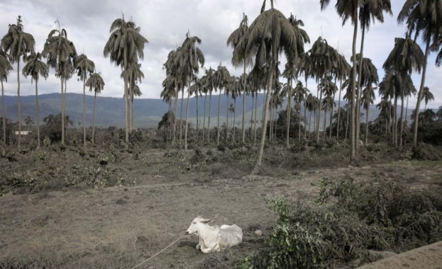 Бедствено положение беше обявено днес на територията на провинция Батангас