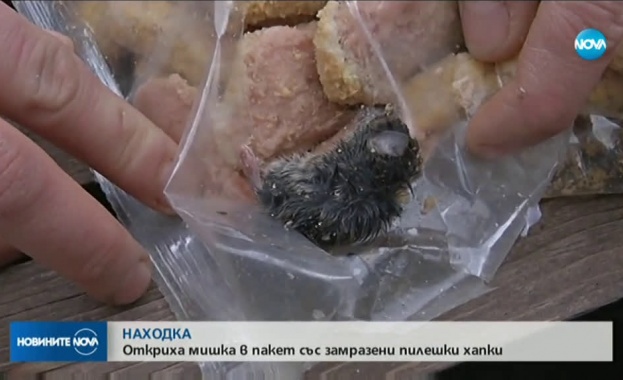 Потребители алармираха във Фейсбук за наличието на замразени мишки в