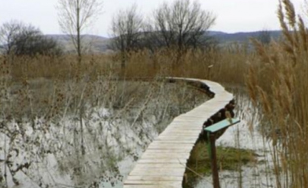 Напълно потушен е пожарът който избухна снощи и обхвана част