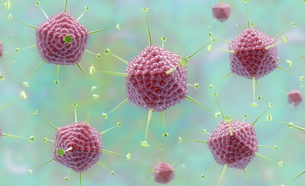 Възможността на новия коронавирус 2019 nCoV да се предава от човек