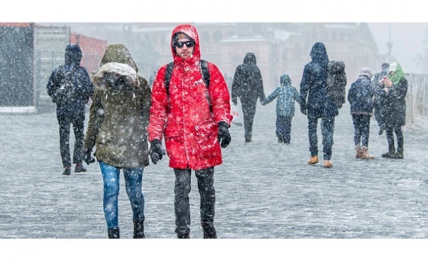 Рядък за тази зима гост посети в четвъртък и вчера