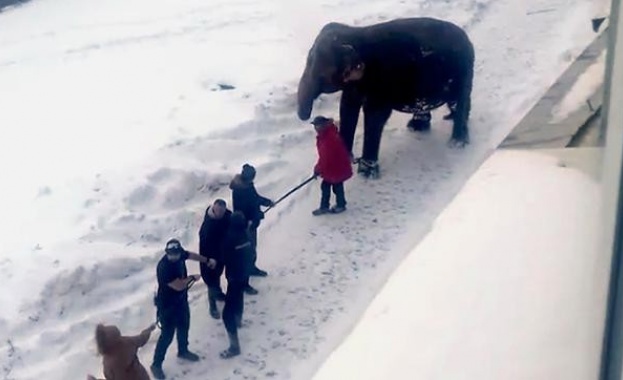 Жителите на руския град Екатеринбург станаха свидетели на необичайна гледка