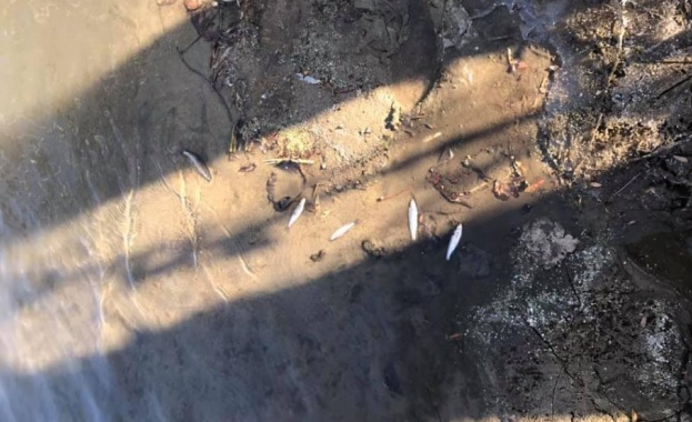 Преустановено е замърсяването на река Марица Тази сутрин е извършено