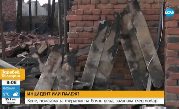 Пожар изпепели конюшня във Врачанско загинаха 11 елитни коне участвали