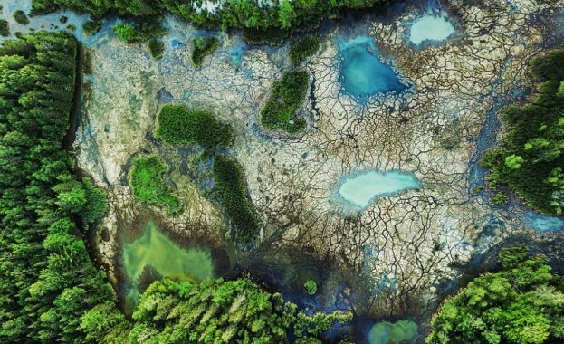 Всяка година на 2 февруари се отбелязва Световният ден на