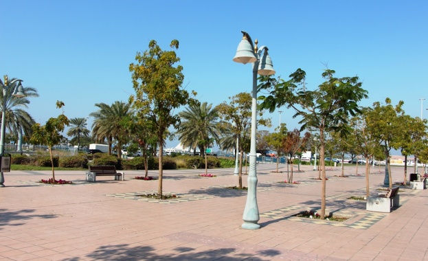 България може да ползва опита на Обединените арабски емирства в