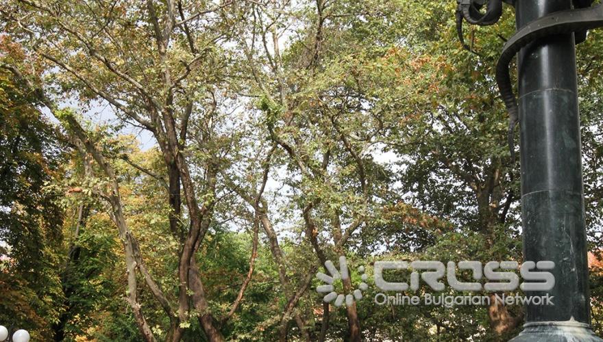 Стара Загора чества Деня на независимостта