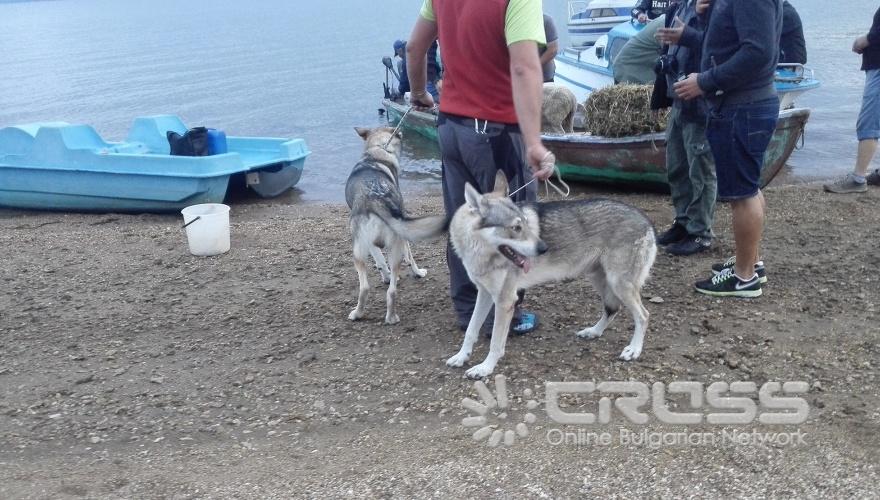 Татяна Дончева представи предизборния си клип