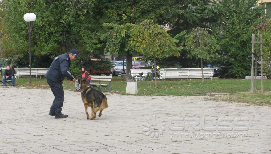 Стартира Първото Детско полицейско управление в район „Възраждане“
