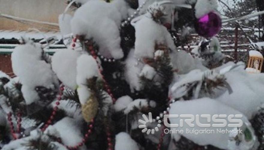 Зимна приказка