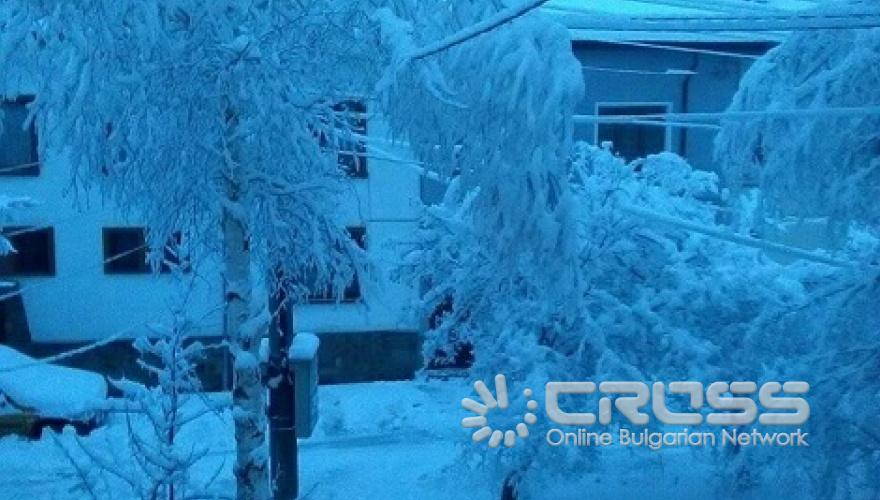 Зимна приказка