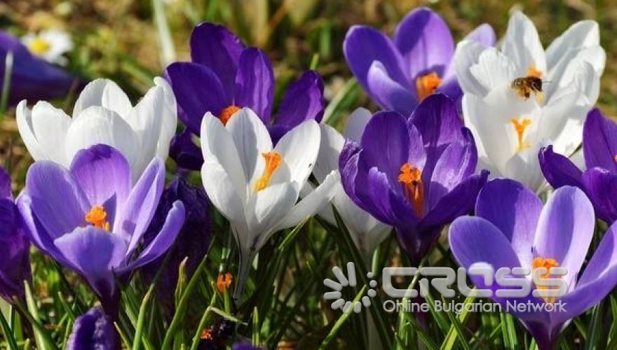 Пролетта е тук!