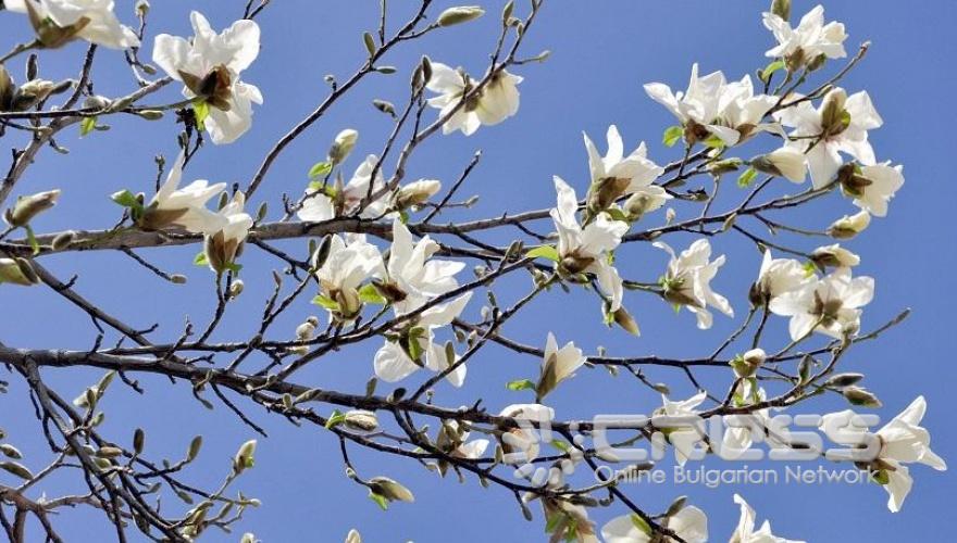 Пролетта е тук!
