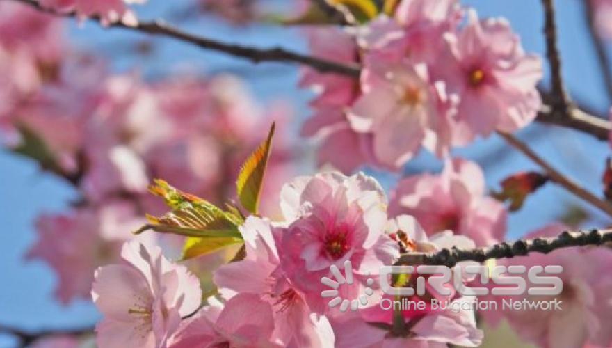 Пролетта е тук!