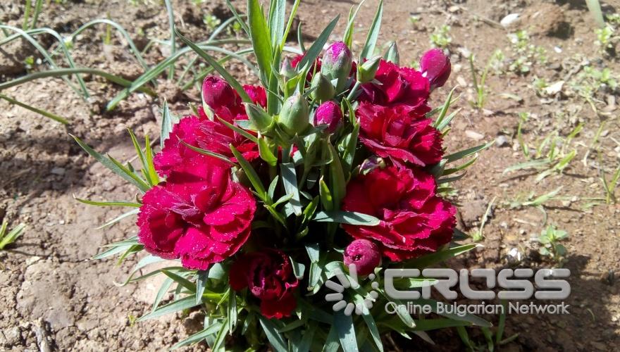 Пролетта е тук!