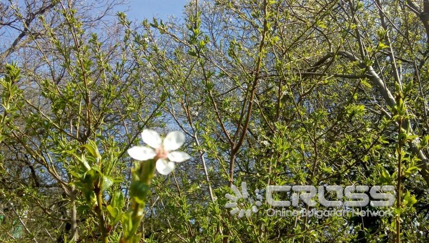 Пролетта е тук!