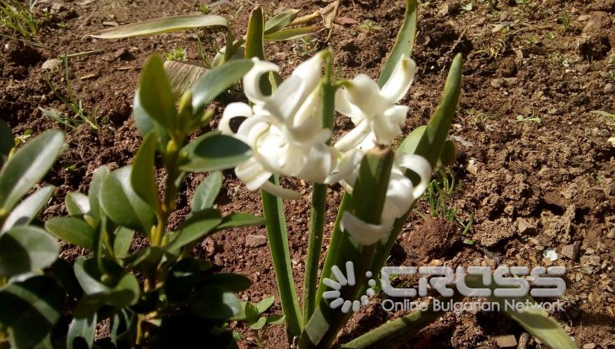 Пролетта е тук!