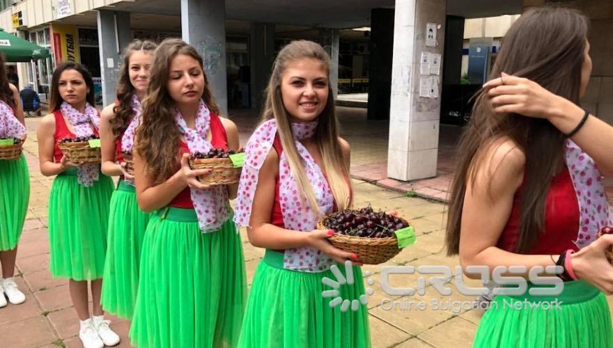 Празник на черешата в Кюстендил