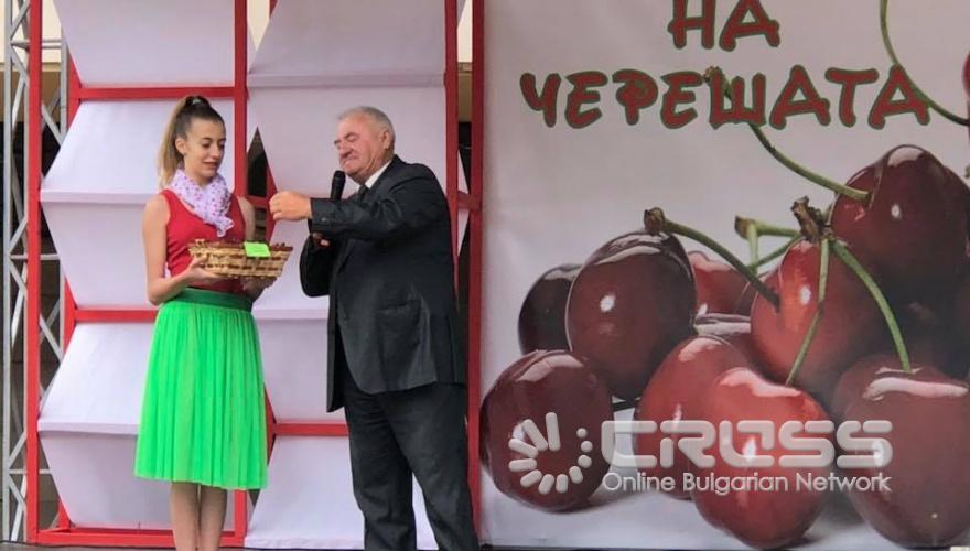 Празник на черешата в Кюстендил