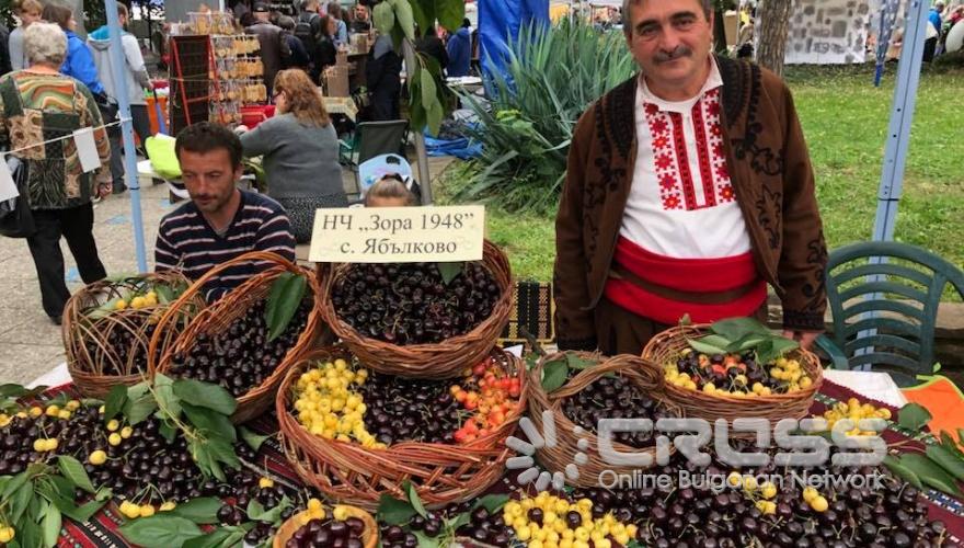 Празник на черешата в Кюстендил