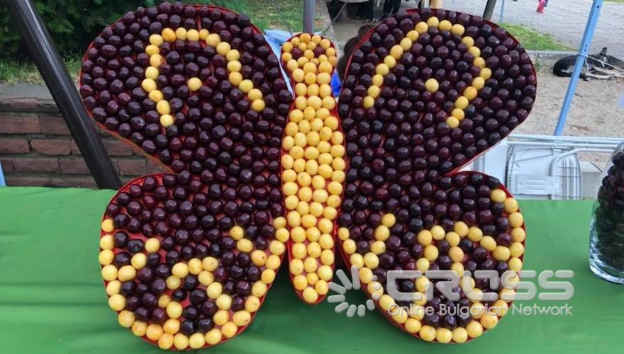 Празник на черешата в Кюстендил