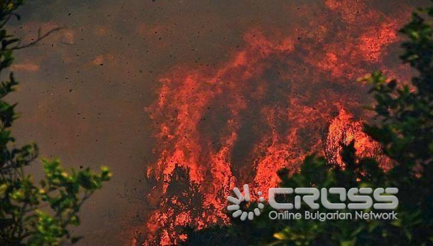 Пепел след огнения ад в Гърция 