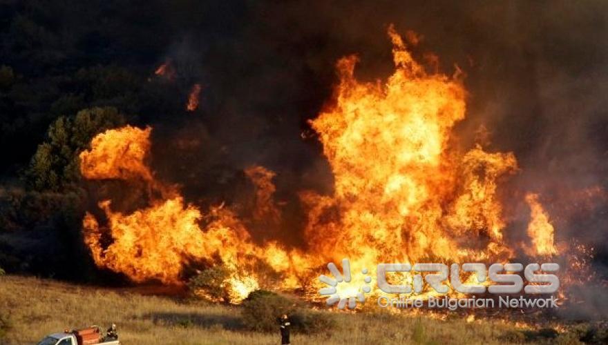 Пепел след огнения ад в Гърция 