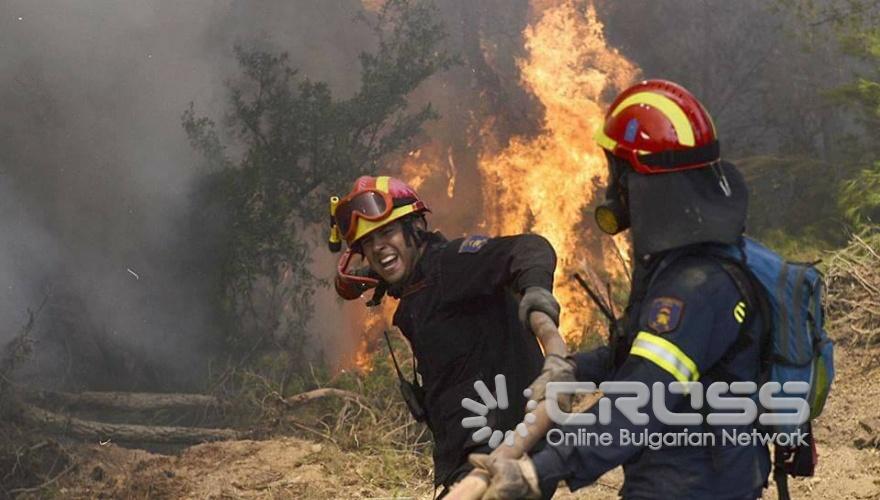 Пепел след огнения ад в Гърция 