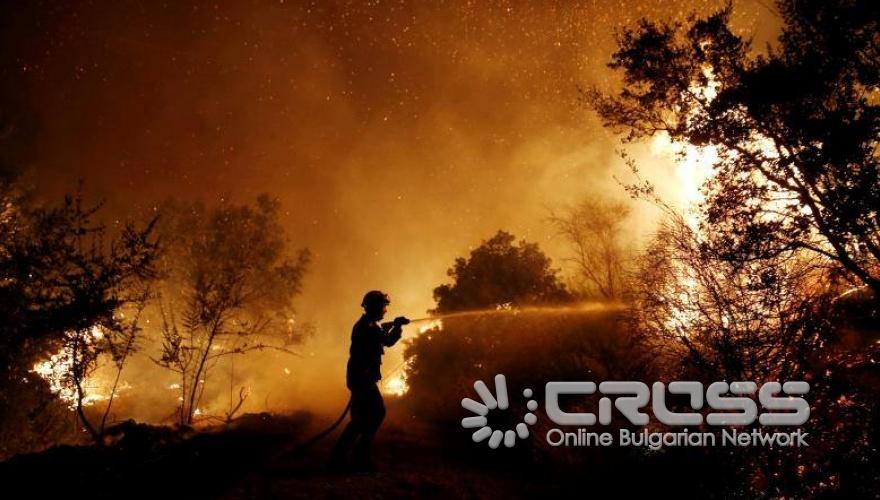 Пепел след огнения ад в Гърция 