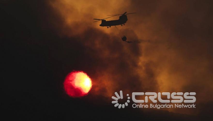 Пепел след огнения ад в Гърция 