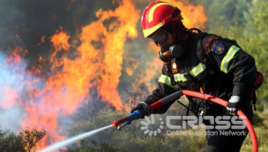 Пепел след огнения ад в Гърция 