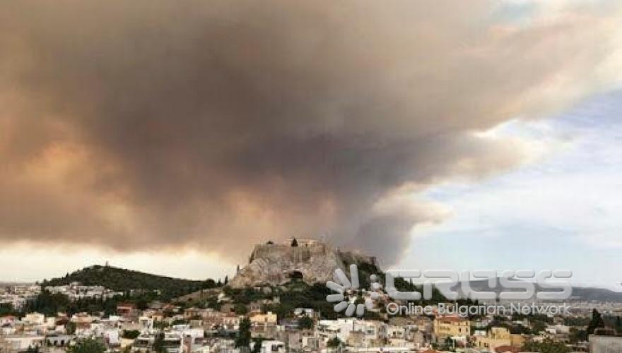 Пепел след огнения ад в Гърция 