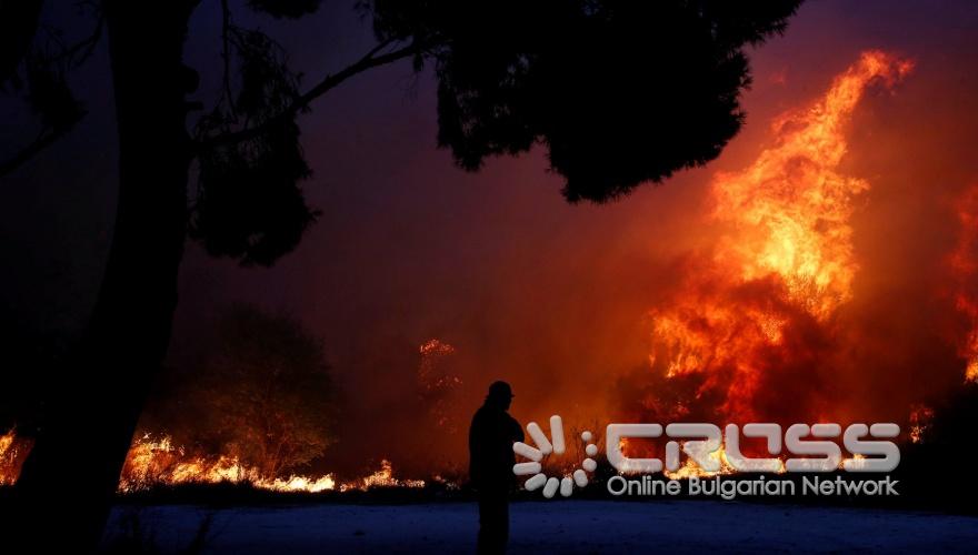 Пепел след огнения ад в Гърция 