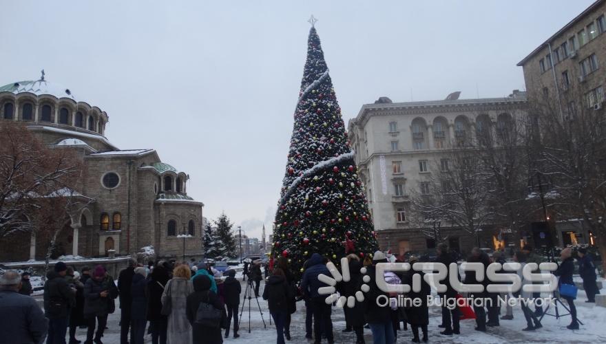 Москва дари елха на София